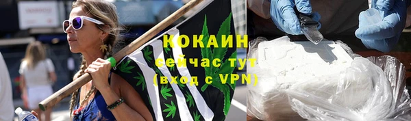 крисы Туринск
