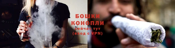 спиды Тында
