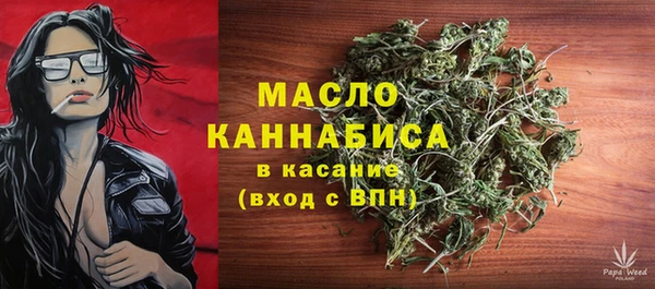 крисы Туринск