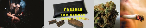 крисы Туринск
