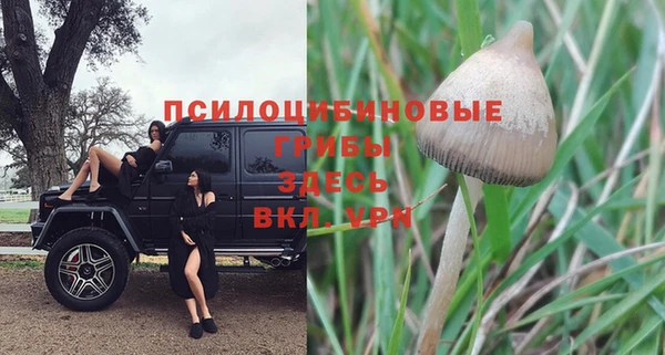 спиды Тында