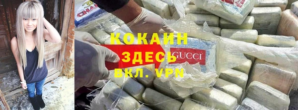 крисы Туринск