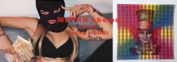 крисы Туринск