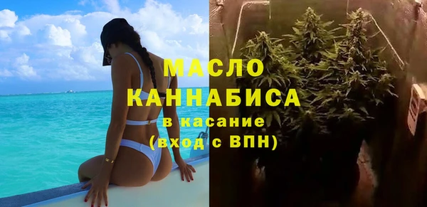 крисы Туринск