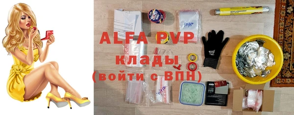 спиды Тында